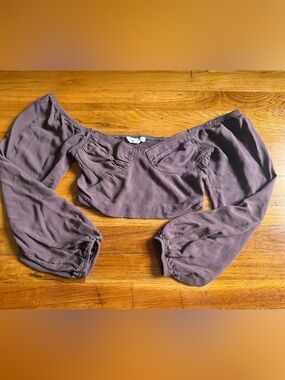 Pacsun Off-Shoulder Long Sleeve Crop Top in Brown